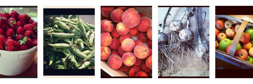 CharMeck Food Policy banner