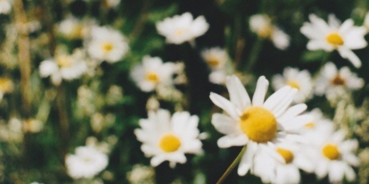 skyyyscrapper's profile banner image