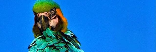 CaarlosO's profile banner image