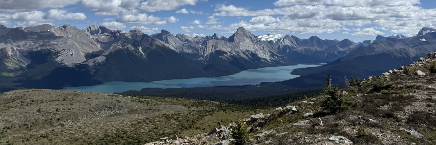 THE Bruce Dickinson banner