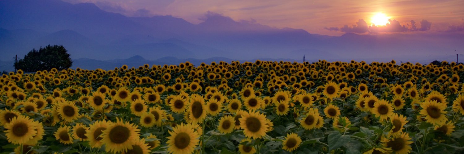 kz1096's profile banner image