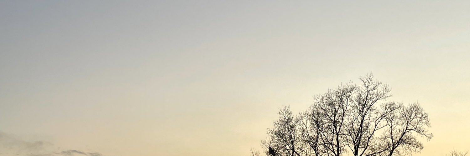 ol0hi's profile banner image