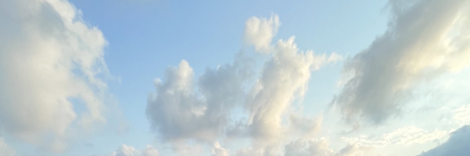 TManeeva's profile banner image