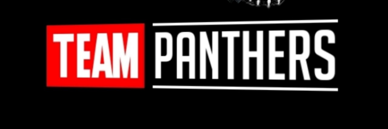 Laleix91 🐯TEAM PANTHERS🐯 banner