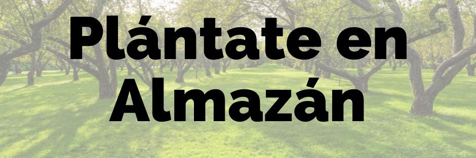 PlantateAlmazan's profile banner image