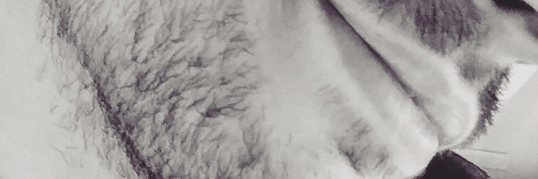 mannubattoia's profile banner image