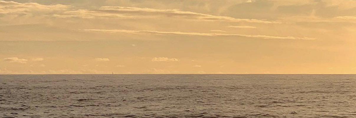 corina_718's profile banner image