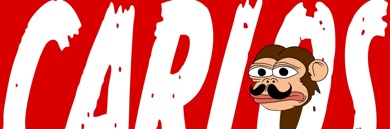 vanthedog.sei banner