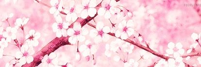 yuna banner