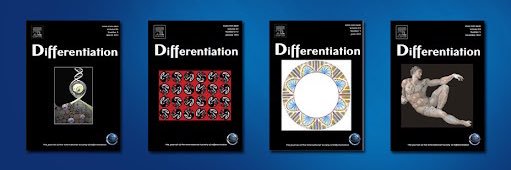 Differentiation Journal banner