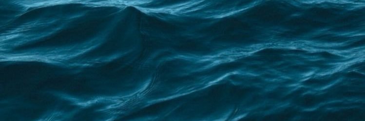 Fernandamartz's profile banner image