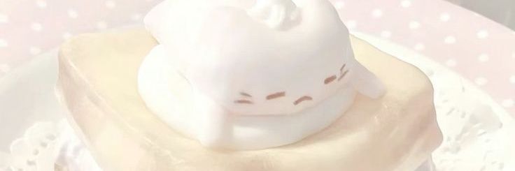 Missvxnilla's profile banner image