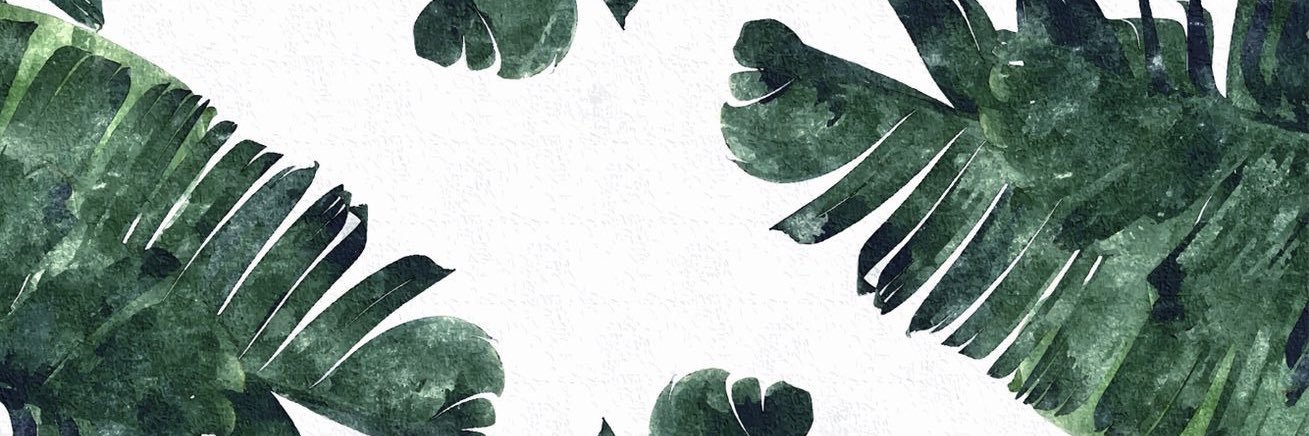 Jessica Torres banner