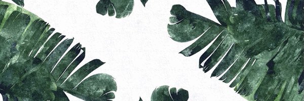 torresreads Profile Banner