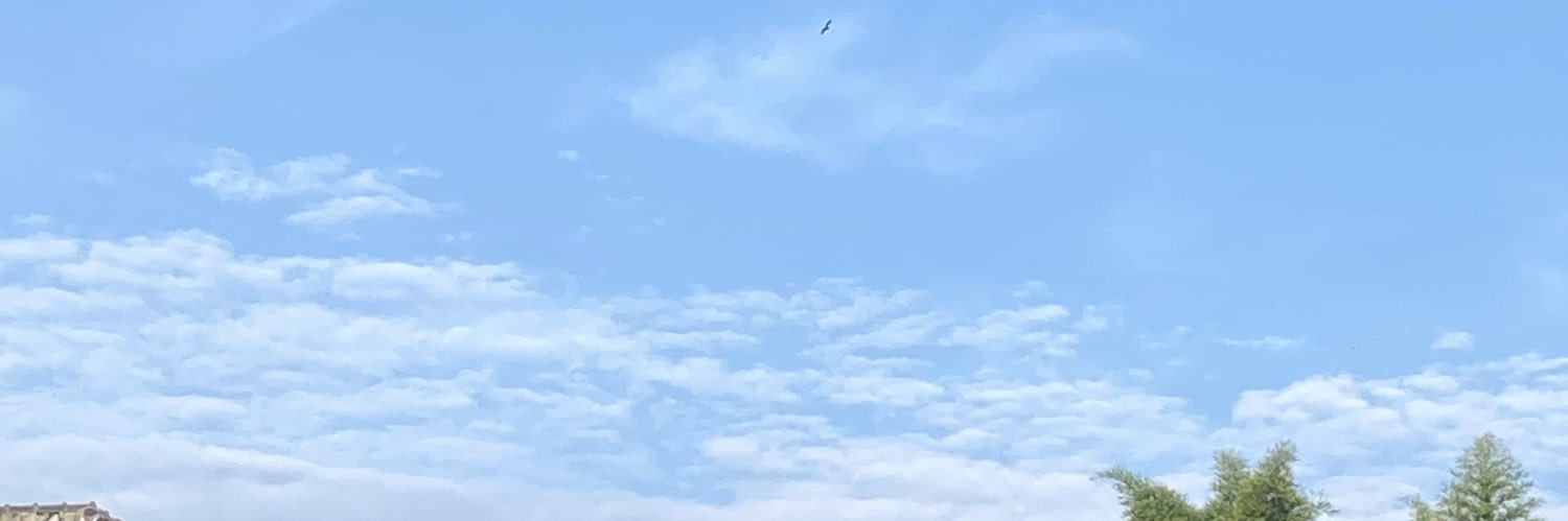 elylostincolors's profile banner image