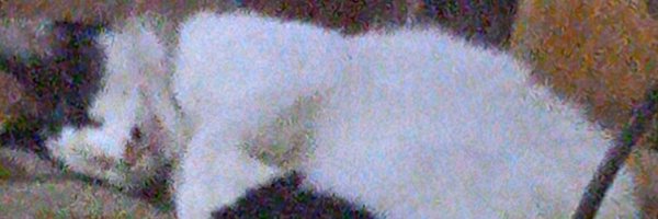 MaferFunkin Profile Banner