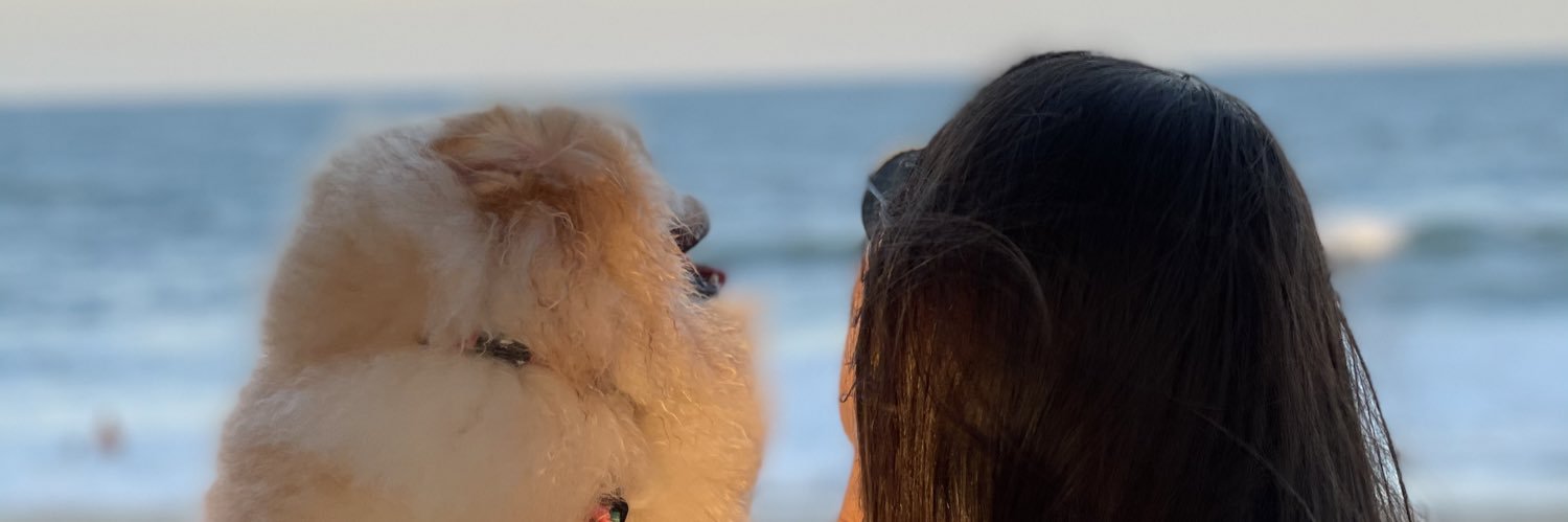 GervasioMorgado's profile banner image