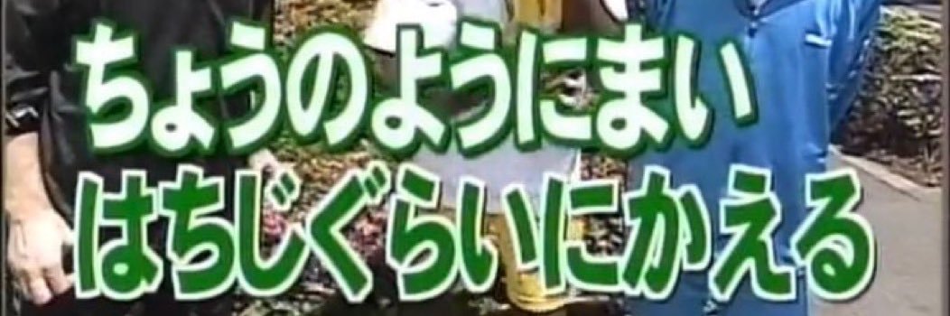うみたゃ banner