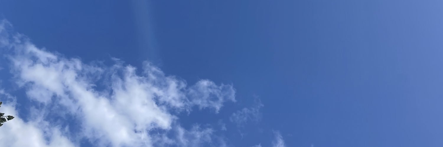 Carmen Scheibenbogen's banner