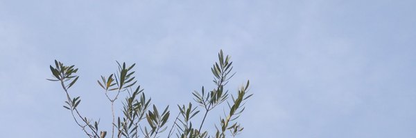 nikken_free Profile Banner