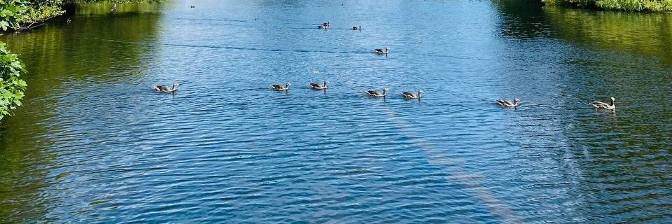 Keep Virtuous Thought 🇺🇸 banner