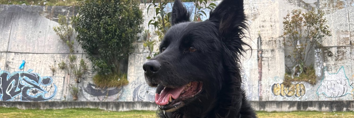 _aleeja01's profile banner image