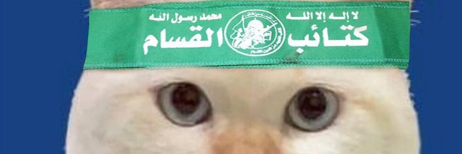 nad’s bf’s gf🍉 banner