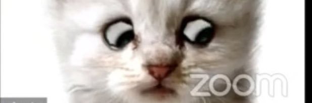jnashty6's profile banner image