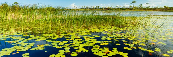 TeachEverglades Profile Banner
