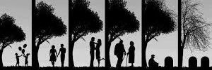 Brian_Stephane's profile banner image