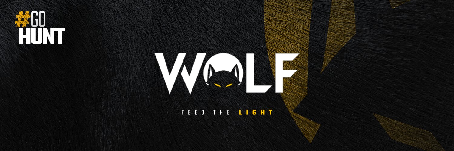 Wolf Team banner