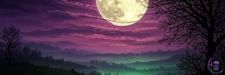 WolfCryptJS's profile banner image