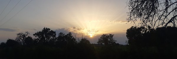 GregoryPamart Profile Banner