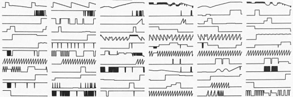 FogleBird Profile Banner