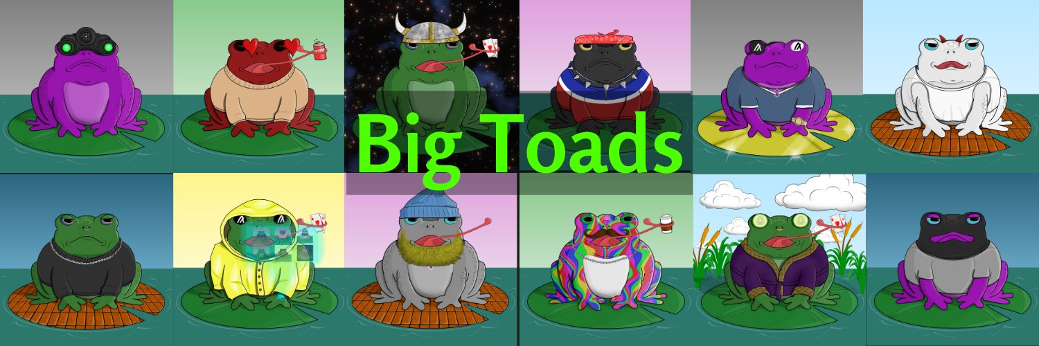 Big Toads banner