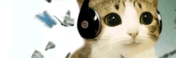 futiledevicess9's profile banner image