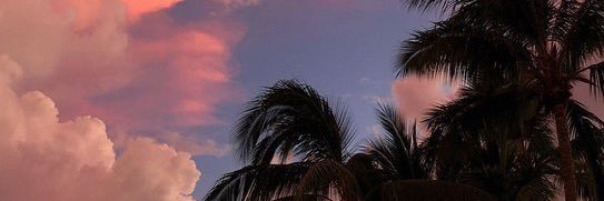 _dtoni's profile banner image