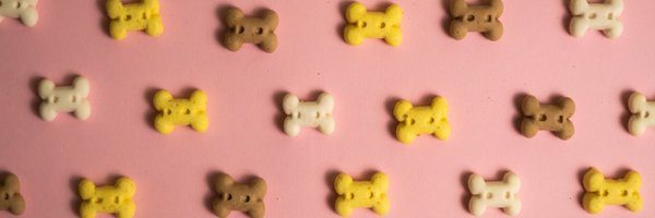 BestinDogs Profile Banner