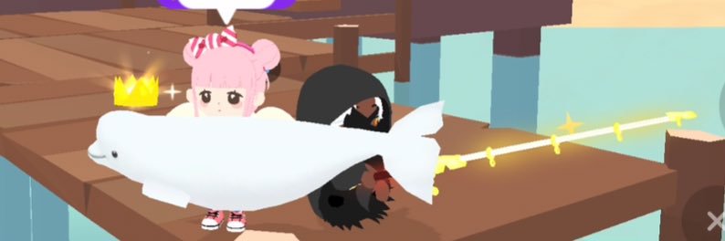 seina_na5's profile banner image
