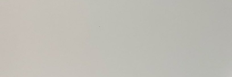🎀 banner