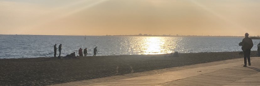 Cody // Excite banner