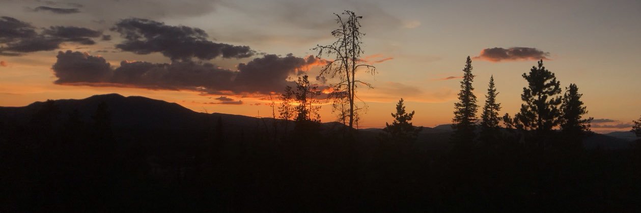 allllythimsen's profile banner image