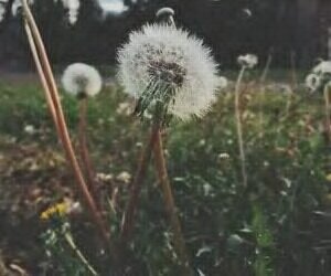CHELSEAJADE15's profile banner image