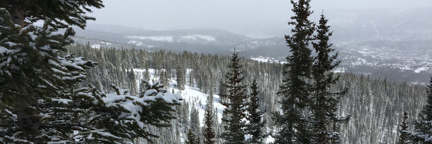 ashenrabbit's profile banner image