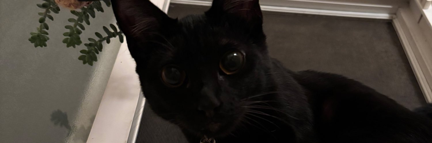 classy_clutss's profile banner image