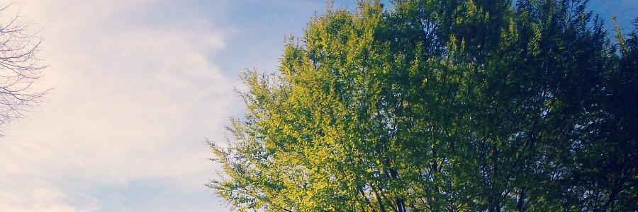 __neleb's profile banner image
