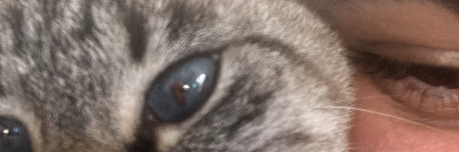 ronqui_larissa's profile banner image