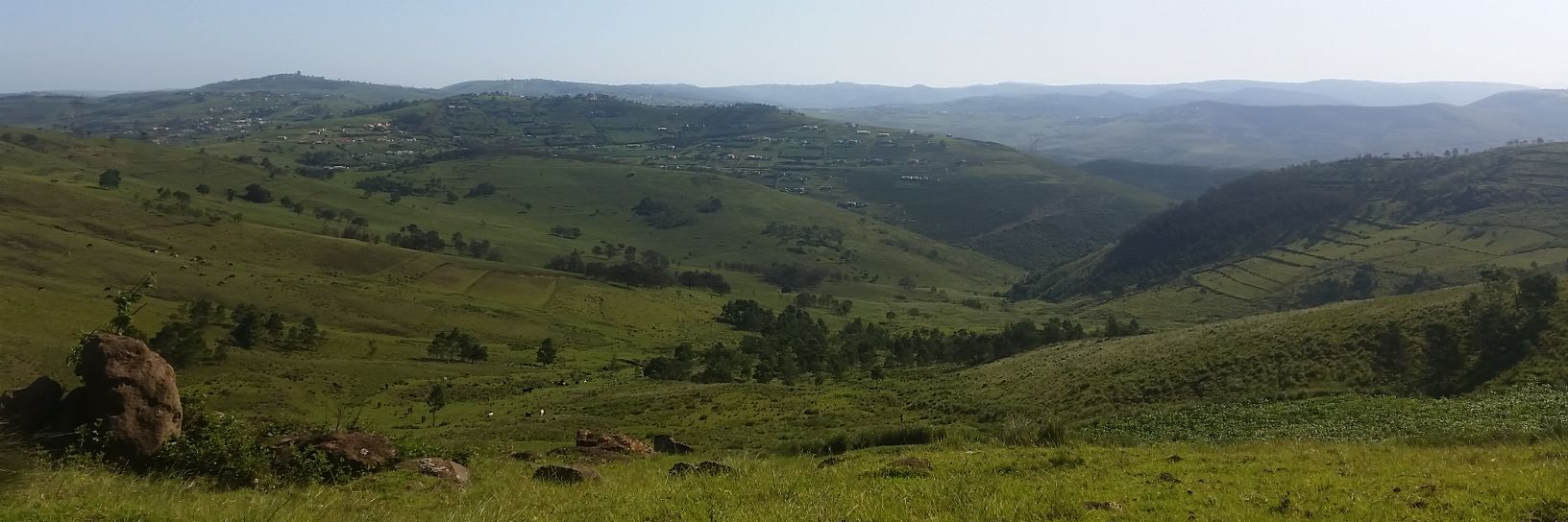 singenile's profile banner image