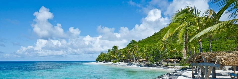 ThaBuntIsOn $BUBBLE 🫧🫧🫧 banner