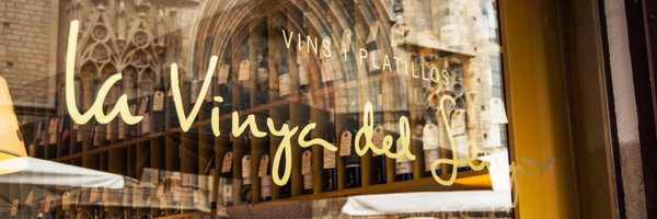 vinyadelsenyor Profile Banner